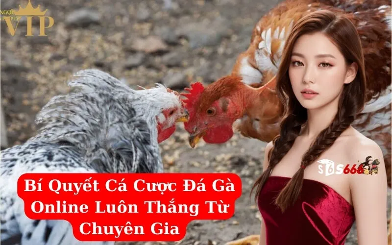 Bí Quyết Cá Cược Đá Gà Online Luôn Thắng Từ Chuyên Gia