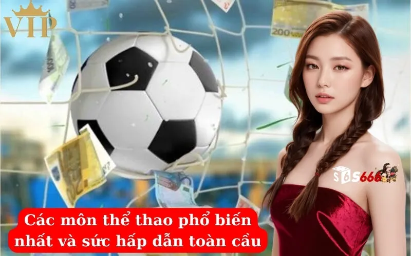 Các môn thể thao phổ biến nhất và sức hấp dẫn toàn cầu