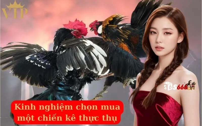 Kinh nghiệm chọn mua một chiến kê thực thụ