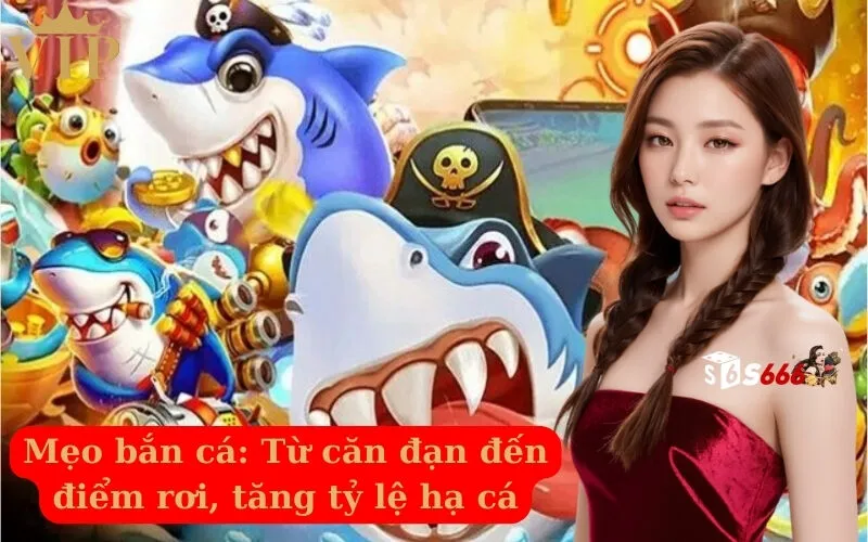 Mẹo bắn cá Từ căn đạn đến điểm rơi, tăng tỷ lệ hạ cá