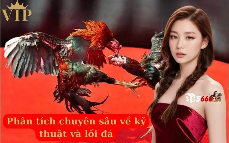 Phân tích chuyên sâu về kỹ thuật và lối đá